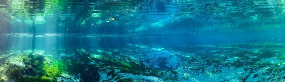Three Sisters Springs, no manatees yet,