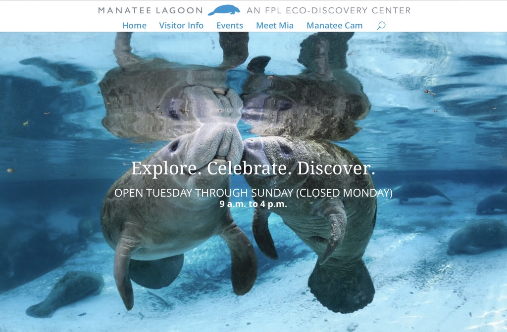 Manatee Lagoon, website,banner image,©Carol Grant